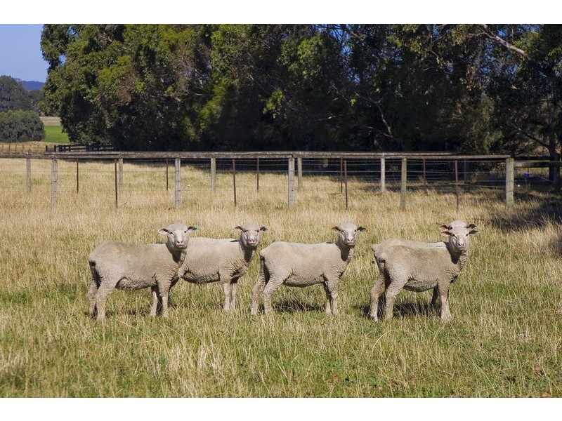 115 Barholme Lane, Deans Marsh VIC 3235