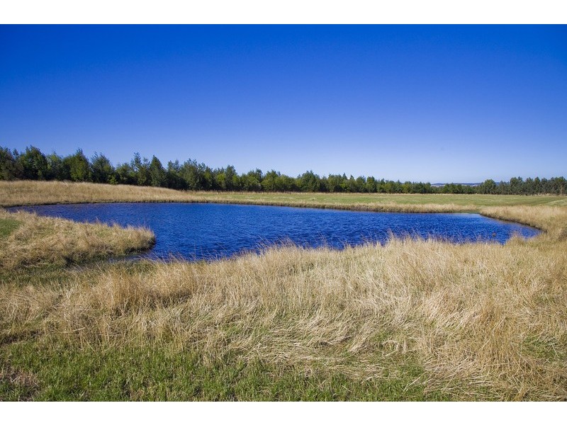 115 Barholme Lane, Deans Marsh VIC 3235