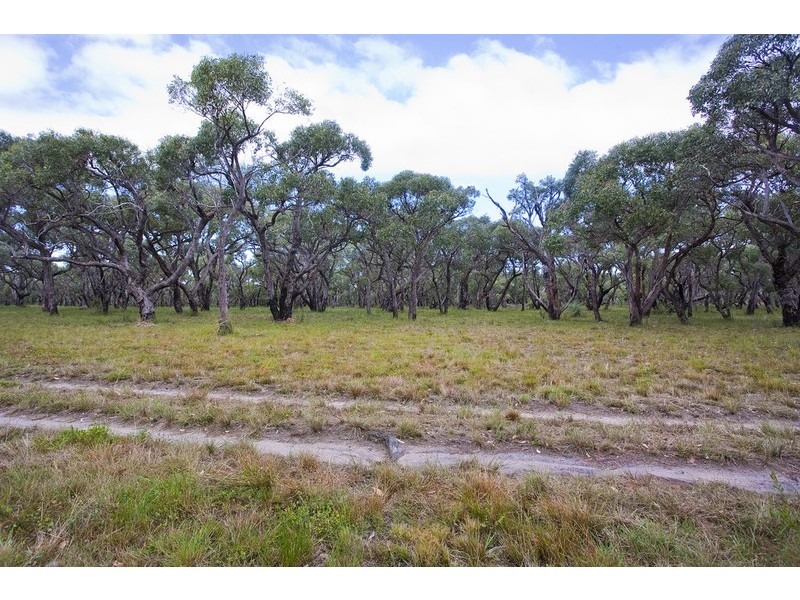 126 Harvey Street, Anglesea VIC 3230