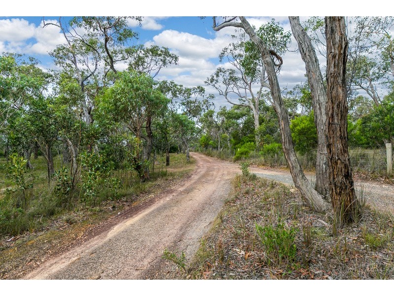 335  Elkington Road, Bellbrae VIC 3228