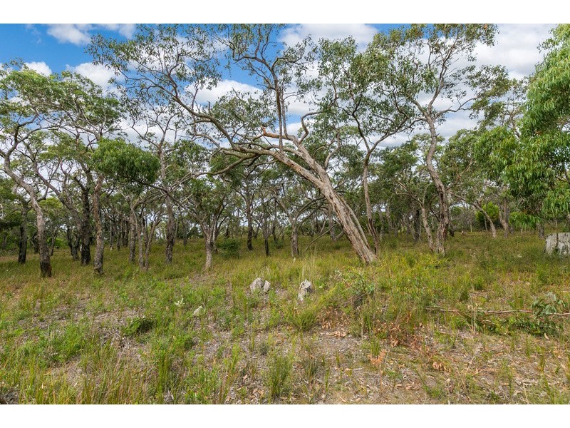 335  Elkington Road, Bellbrae VIC 3228