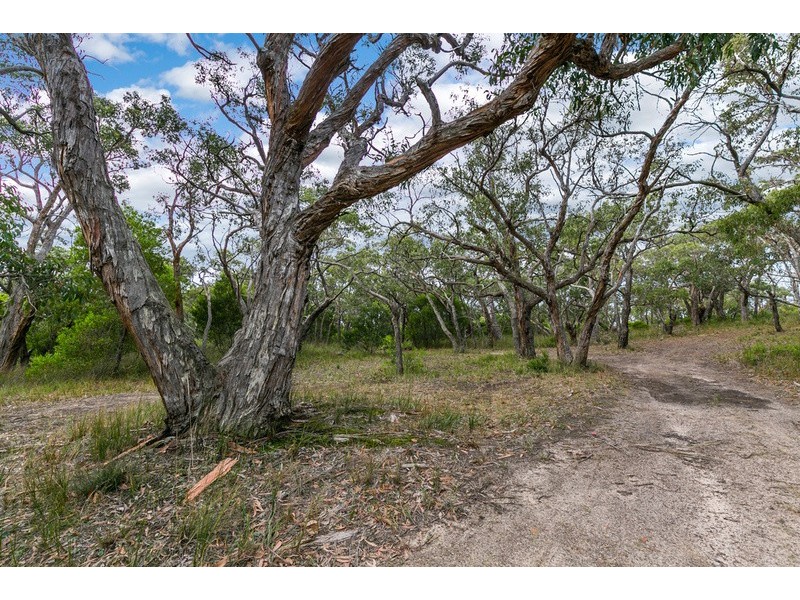 335  Elkington Road, Bellbrae VIC 3228