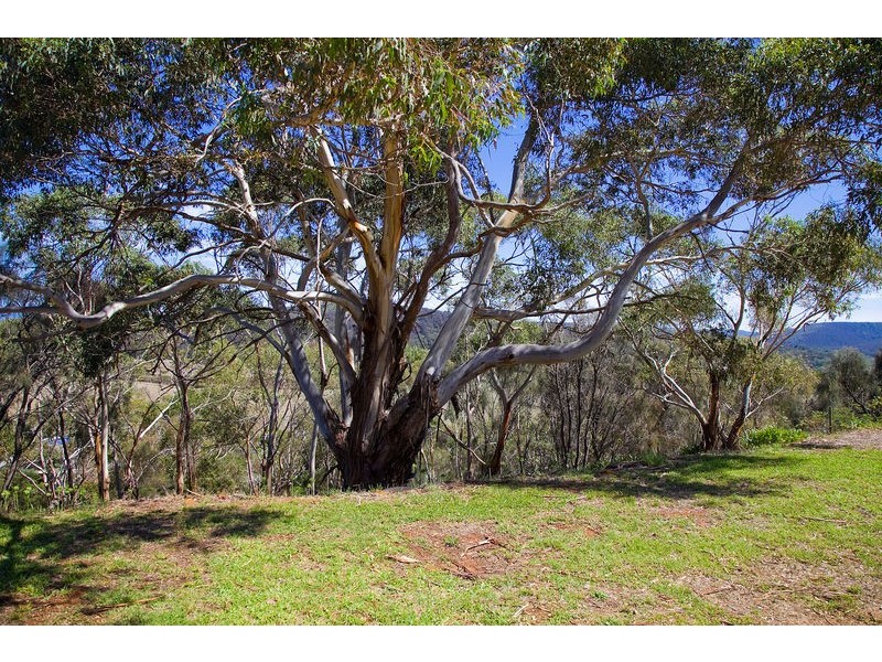 6/31-33 Pearse Road, Aireys Inlet VIC 3231