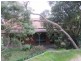 1 Lubel Street, Anglesea VIC 3230