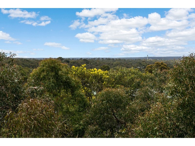 53 Belton Street, Anglesea VIC 3230