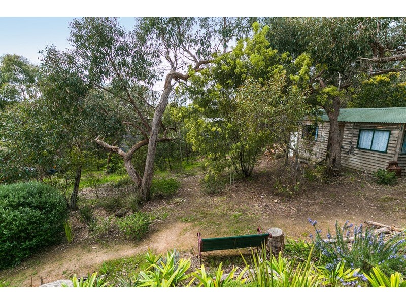 53 Belton Street, Anglesea VIC 3230