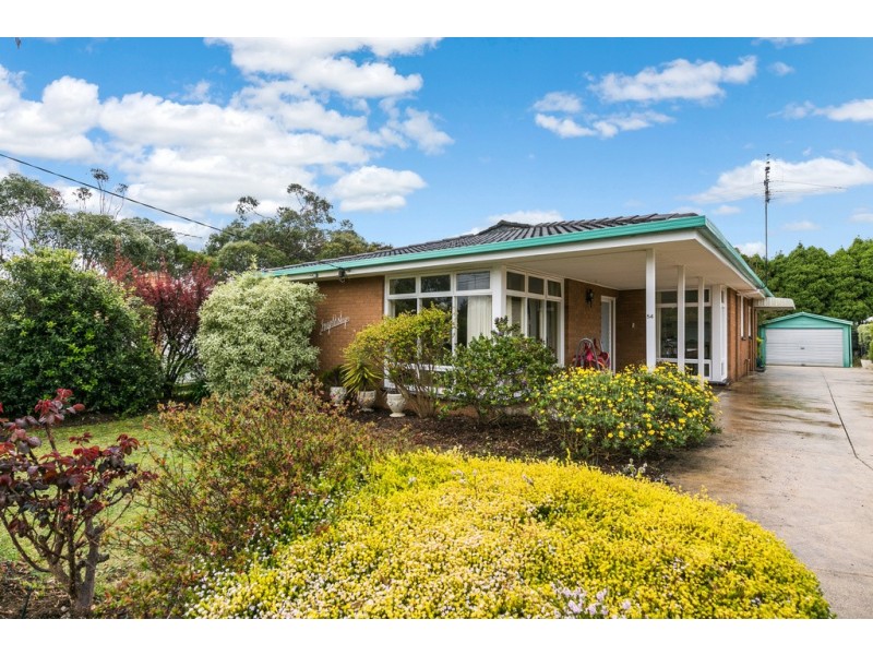 54  Murray Street, Anglesea VIC 3230