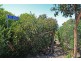 21 Yandanah Road, Fairhaven VIC 3231
