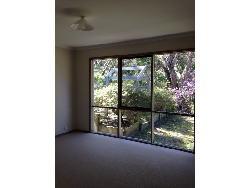 16  Niblick Street, Anglesea VIC 3230