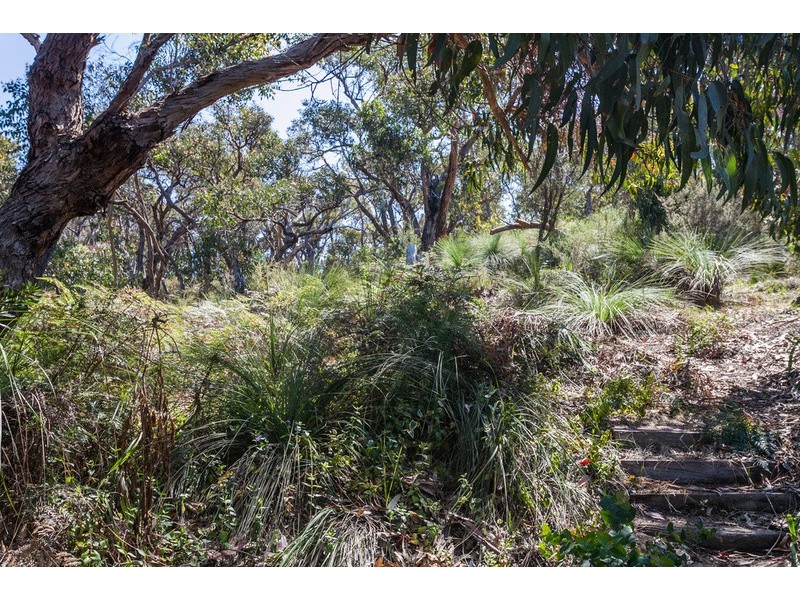 30 Niblick Street, Anglesea VIC 3230