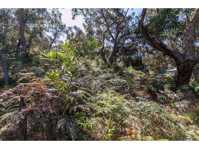 30 Niblick Street, Anglesea VIC 3230