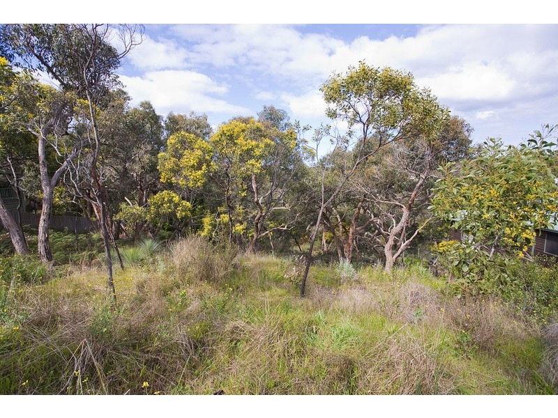 17 Weir Street, Anglesea VIC 3230