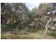17 Weir Street, Anglesea VIC 3230
