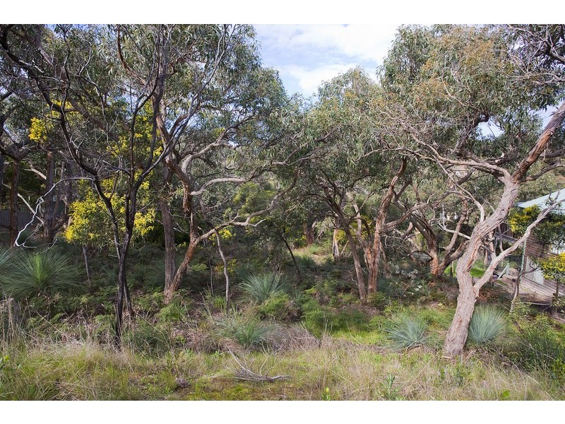 17 Weir Street, Anglesea VIC 3230