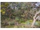 17 Weir Street, Anglesea VIC 3230