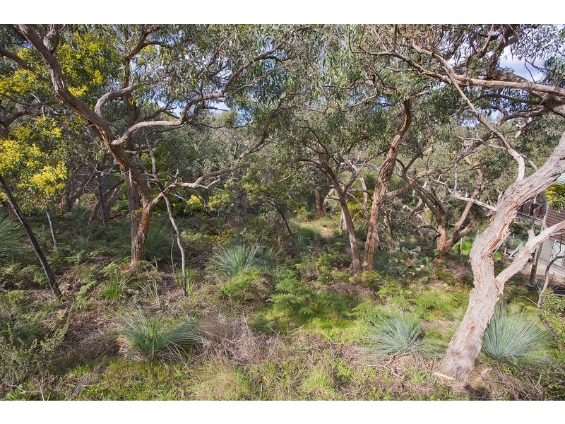 17 Weir Street, Anglesea VIC 3230