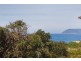 11 Old Coach Road, Moggs Creek VIC 3231