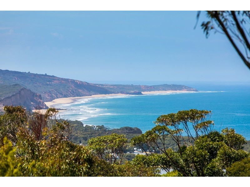 61 Harvey Street, Anglesea VIC 3230