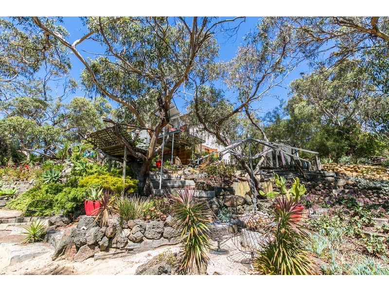 61 Harvey Street, Anglesea VIC 3230