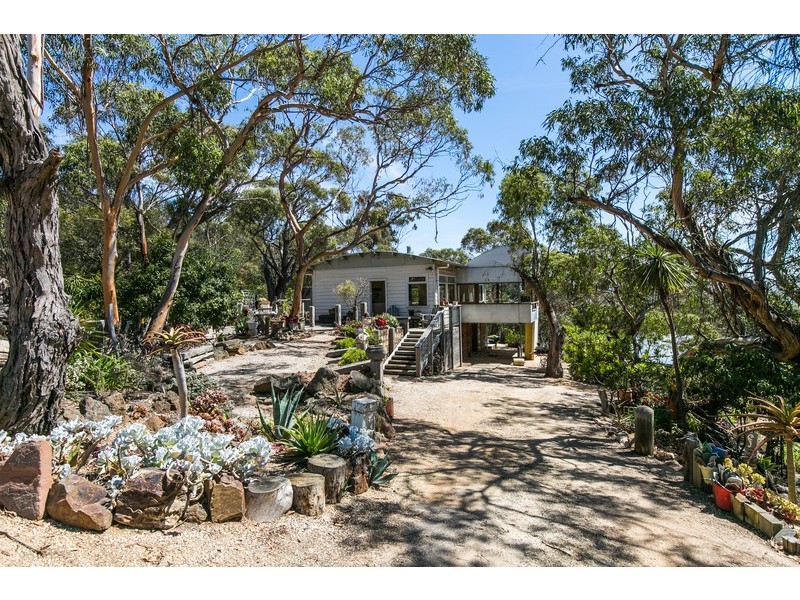 61 Harvey Street, Anglesea VIC 3230