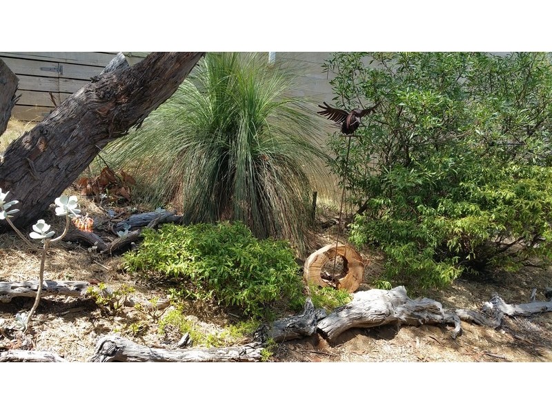 25 Kalbaru Drive, Fairhaven VIC 3231