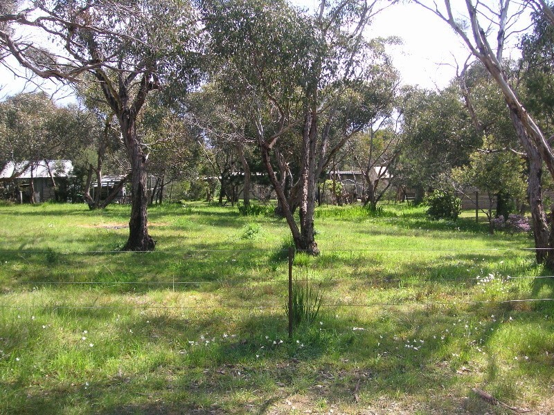 7 Nancy Street, Aireys Inlet VIC 3231