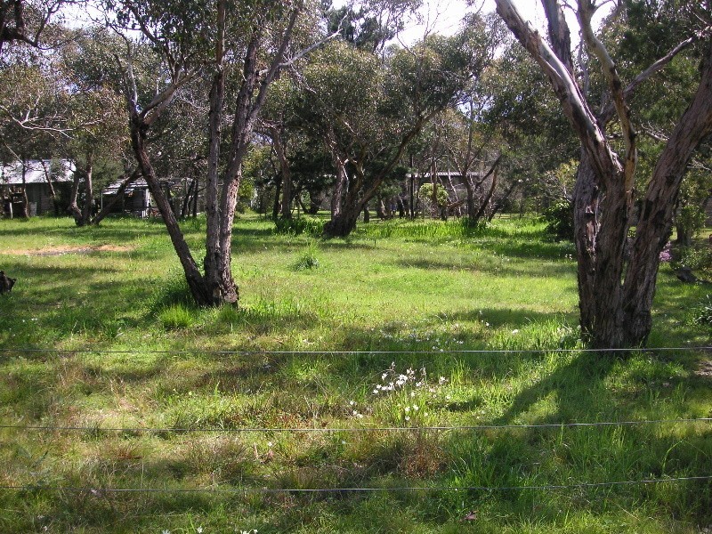 7 Nancy Street, Aireys Inlet VIC 3231