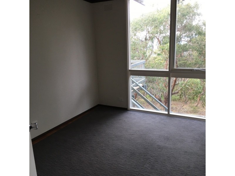 19  Pickworth Drive, Anglesea VIC 3230