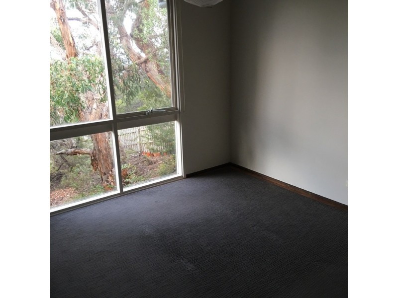 19  Pickworth Drive, Anglesea VIC 3230