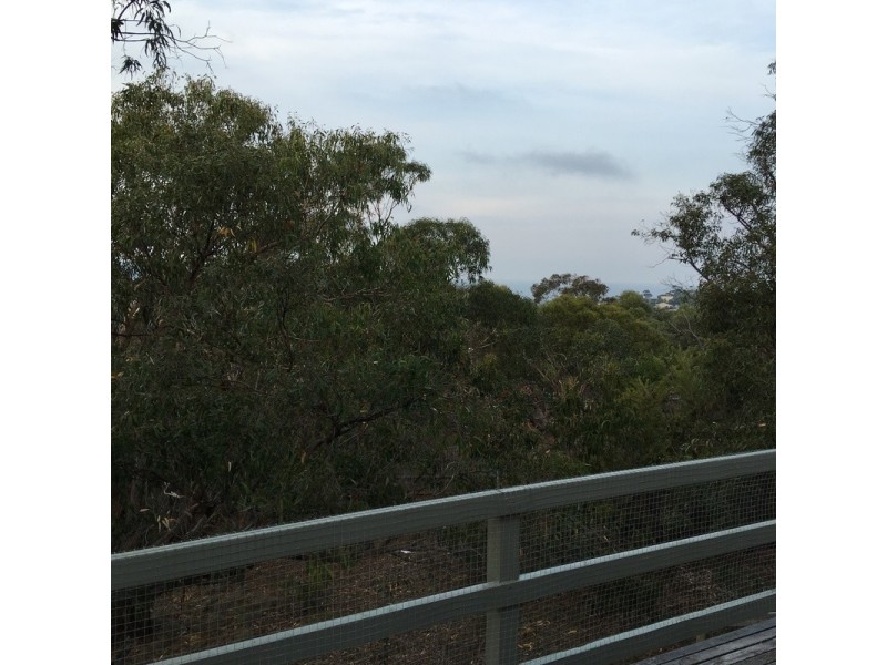19  Pickworth Drive, Anglesea VIC 3230