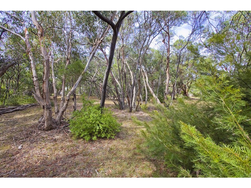 20 Hartley Street, Aireys Inlet VIC 3231