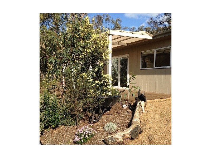 66 McMahon Avenue, Anglesea VIC 3230