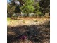 66 McMahon Avenue, Anglesea VIC 3230