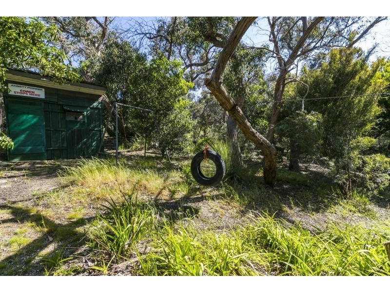 48  McMahon Avenue, Anglesea VIC 3230