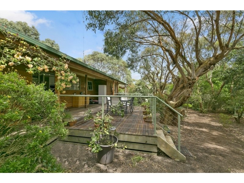 19 Elizabeth Street, Anglesea VIC 3230