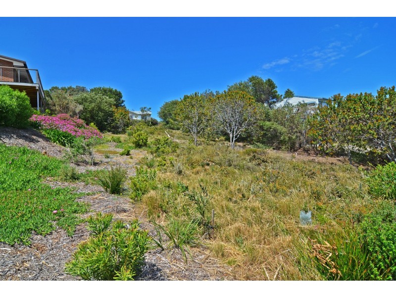 41 Lialeeta Road, Fairhaven VIC 3231