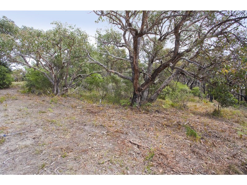 Lot 36  Narani Way, Fairhaven VIC 3231