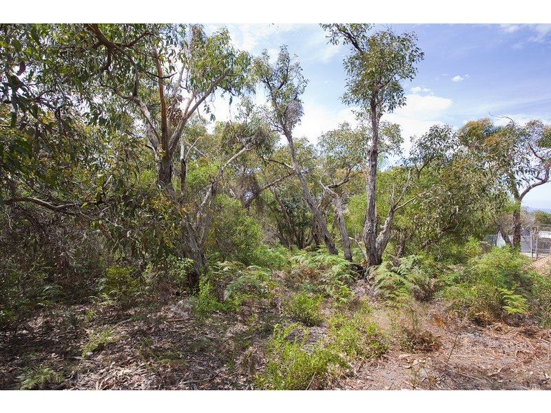Lot 36  Narani Way, Fairhaven VIC 3231