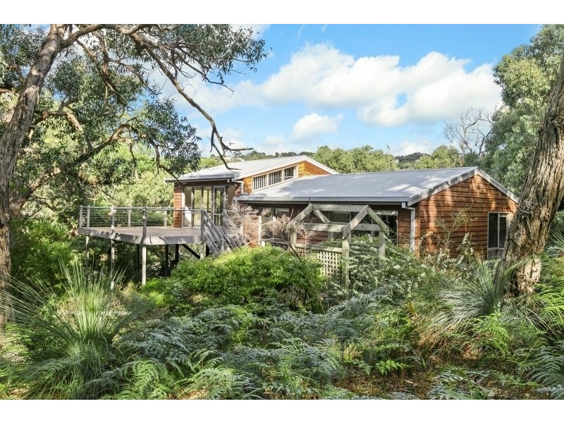 16 Niblick Street, Anglesea VIC 3230