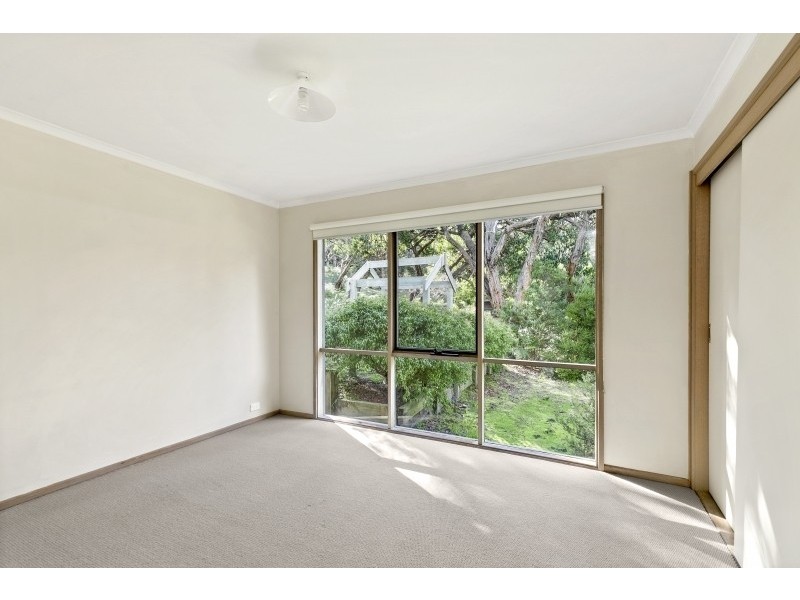 16 Niblick Street, Anglesea VIC 3230