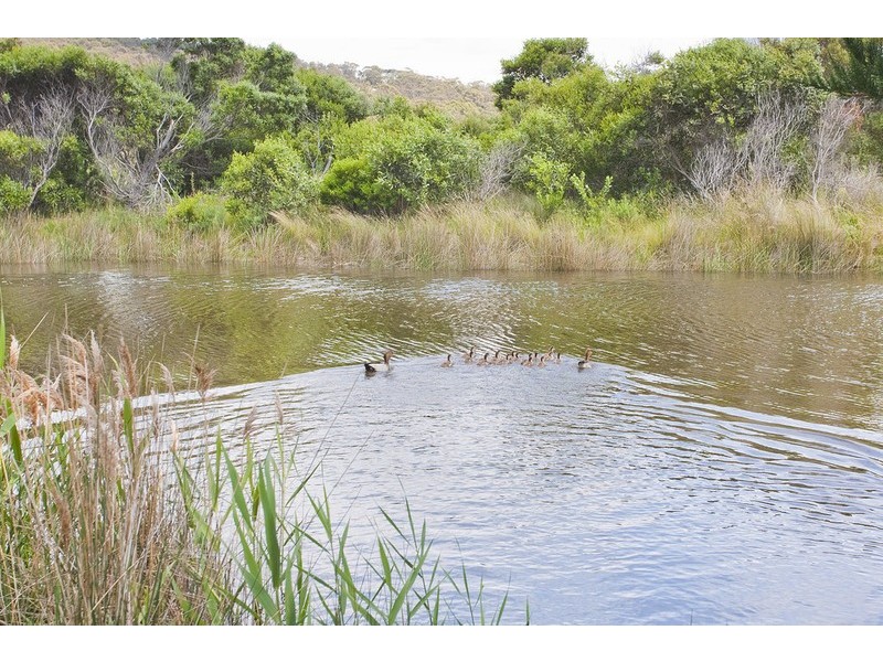 24 River Road, Aireys Inlet VIC 3231