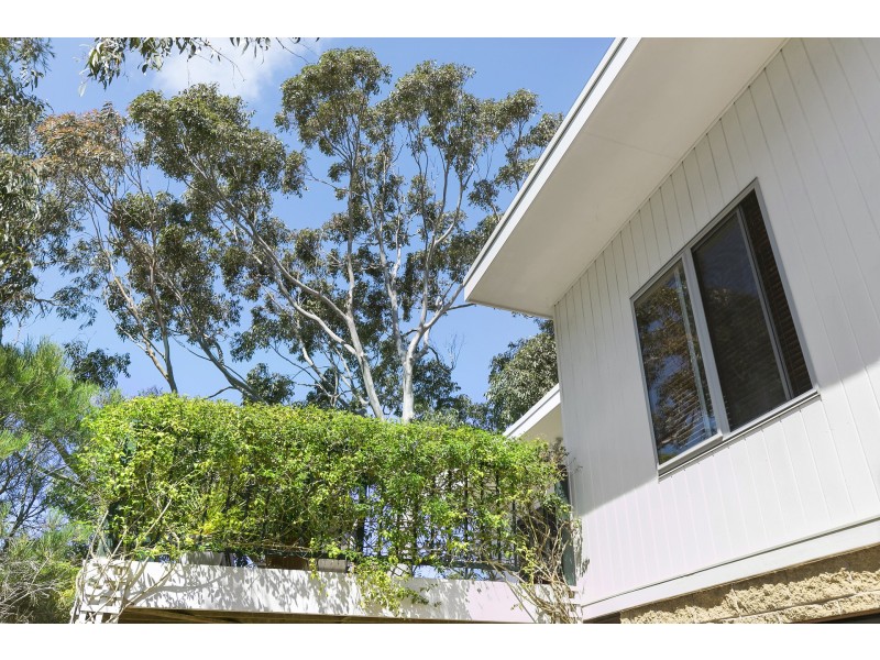 14 Belton Street, Anglesea VIC 3230