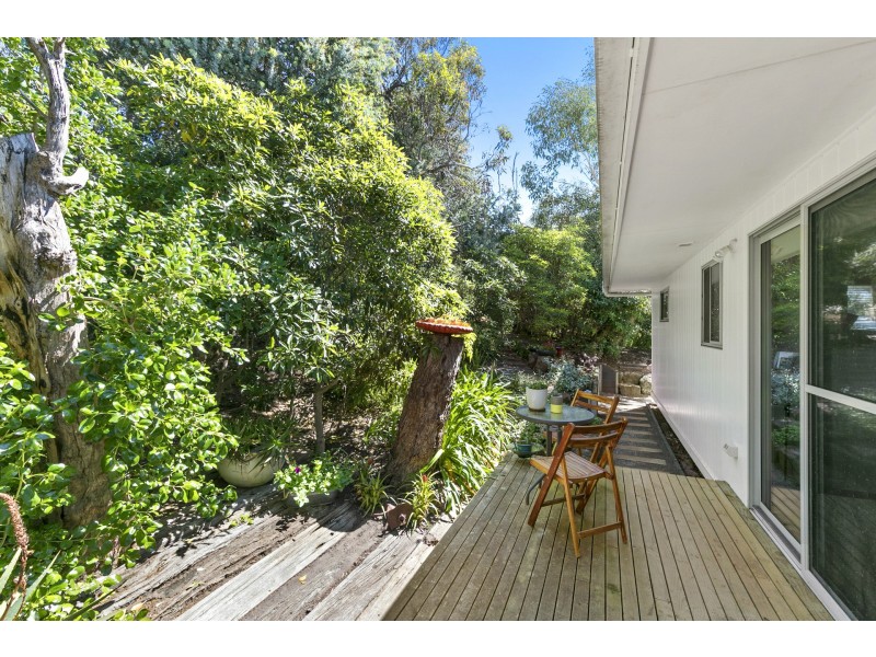 14 Belton Street, Anglesea VIC 3230