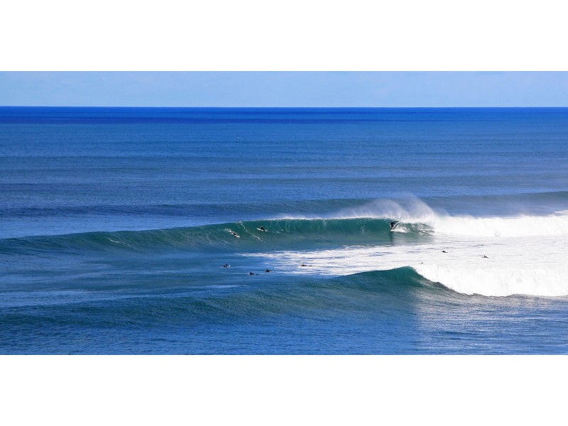 9 Brumby Drive, Torquay VIC 3228