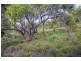 14 Old Coach Road, Moggs Creek VIC 3231