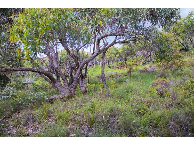 14 Old Coach Road, Moggs Creek VIC 3231