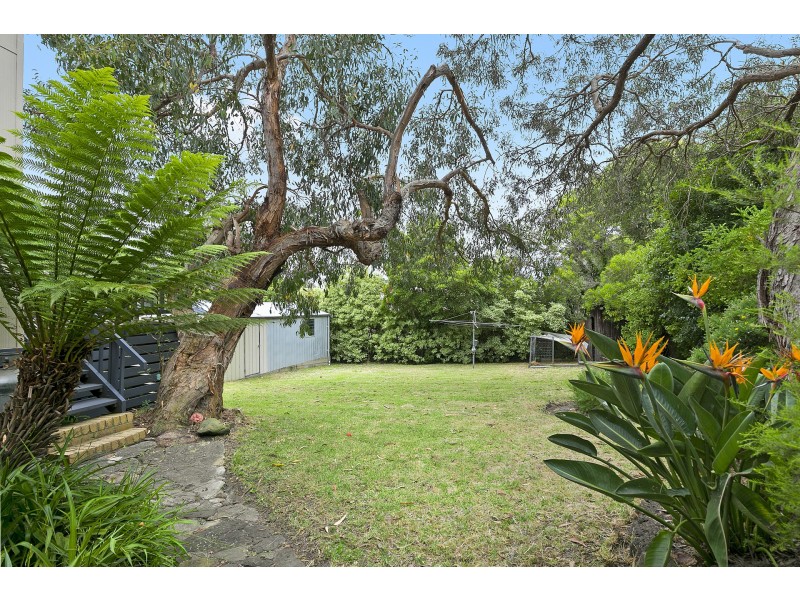 6 George Street, Anglesea VIC 3230