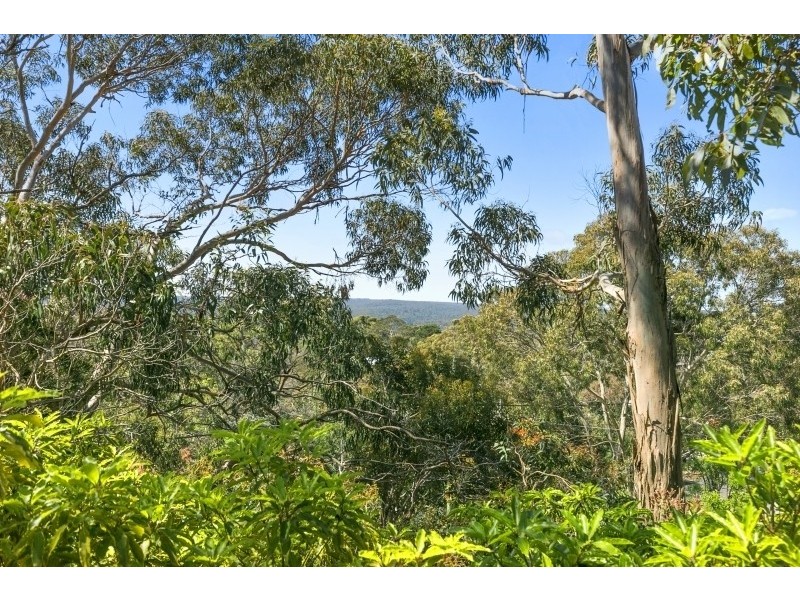 14 Belton Street, Anglesea VIC 3230