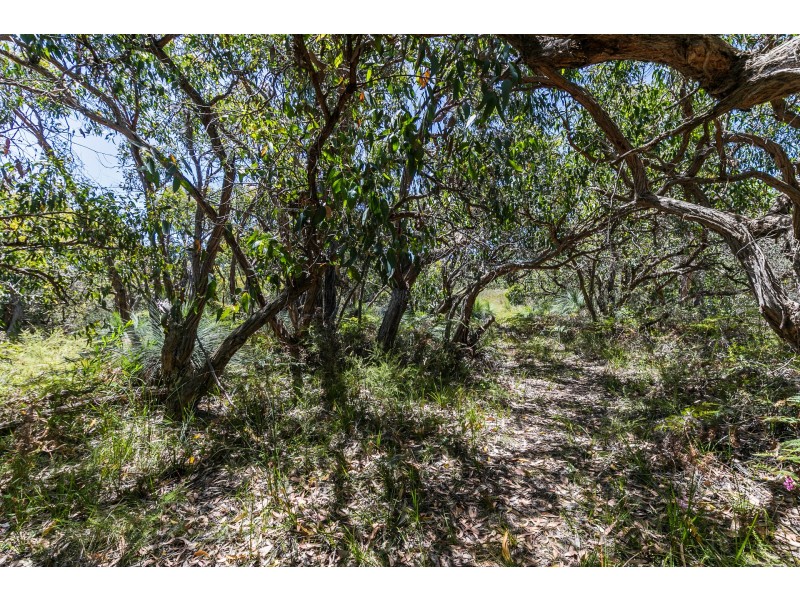 49 Boyd Avenue, Moggs Creek VIC 3231