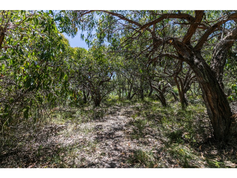 49 Boyd Avenue, Moggs Creek VIC 3231